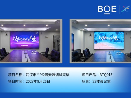 昌都武漢市**公園22樓會議室BTQ015安裝調試完畢