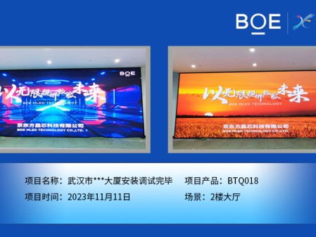 昌都武漢市***大廈2樓大廳BTQ018安裝調試完畢