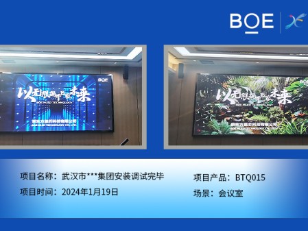 昌都武漢市**集團(tuán)會(huì)議室BTQ015安裝調(diào)試完畢