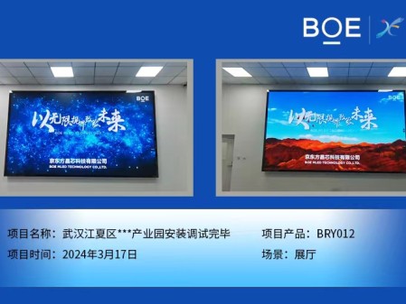 昌都武漢江夏區(qū)**產(chǎn)業(yè)園展廳BRY012安裝調(diào)試完畢