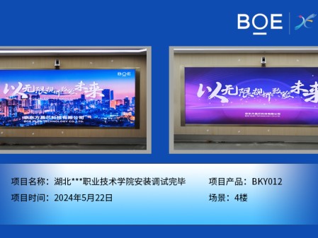 昌都湖北***職業技術學院安裝調試完畢
