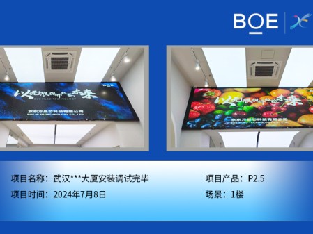 昌都武漢***大廈安裝調試完畢