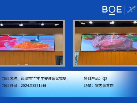 昌都武漢市***中學安裝調(diào)試完畢