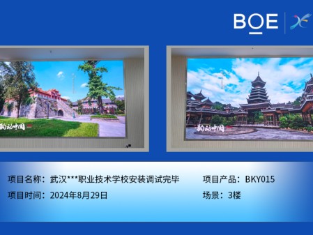昌都武漢***職業(yè)技術(shù)學(xué)校安裝調(diào)試完畢