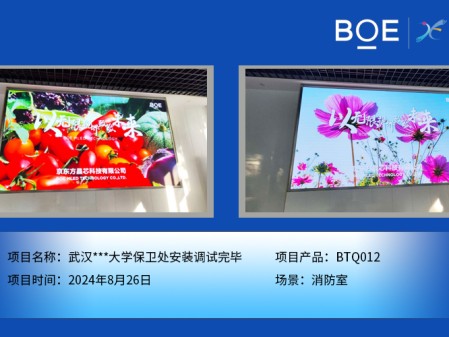 昌都武漢***大學保衛(wèi)處安裝調(diào)試完畢