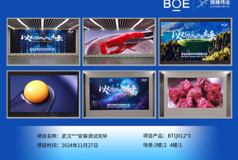湖北武漢***安裝調試完畢