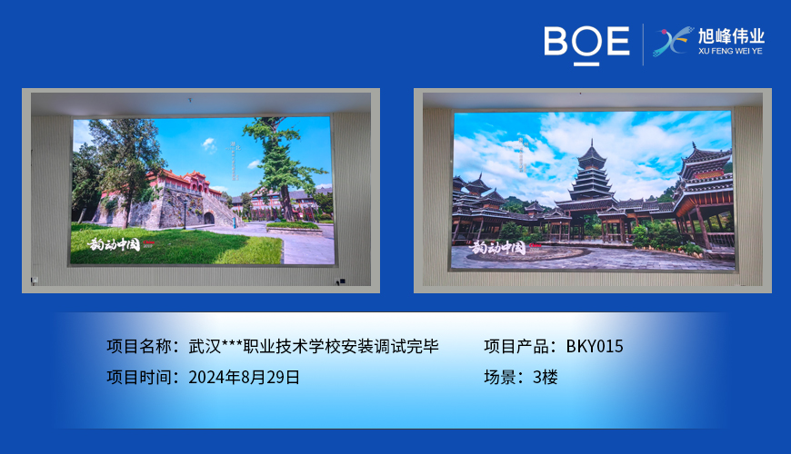 銅陵武漢***職業技術學校安裝調試完畢