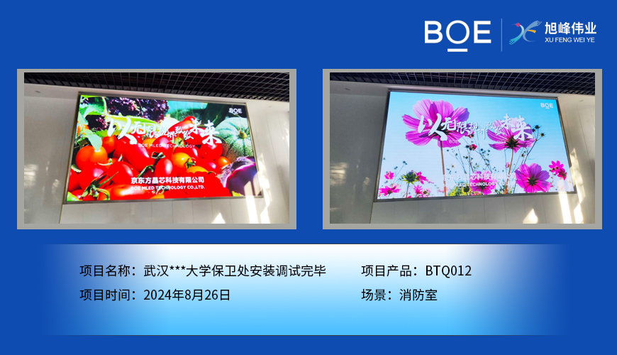 銅陵武漢***大學保衛處安裝調試完畢